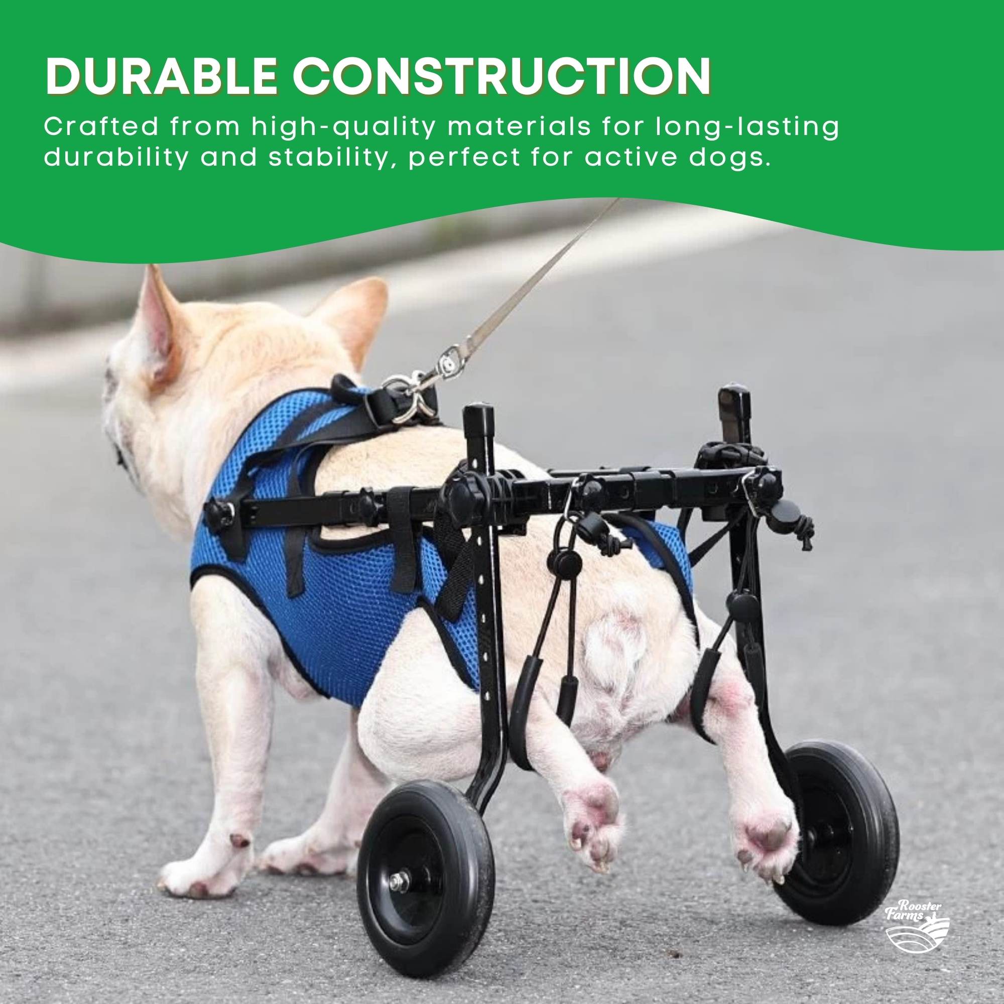 Rooster Farms Little Dog Wheelchair Small Harness - Adjustable Back Leg Aid