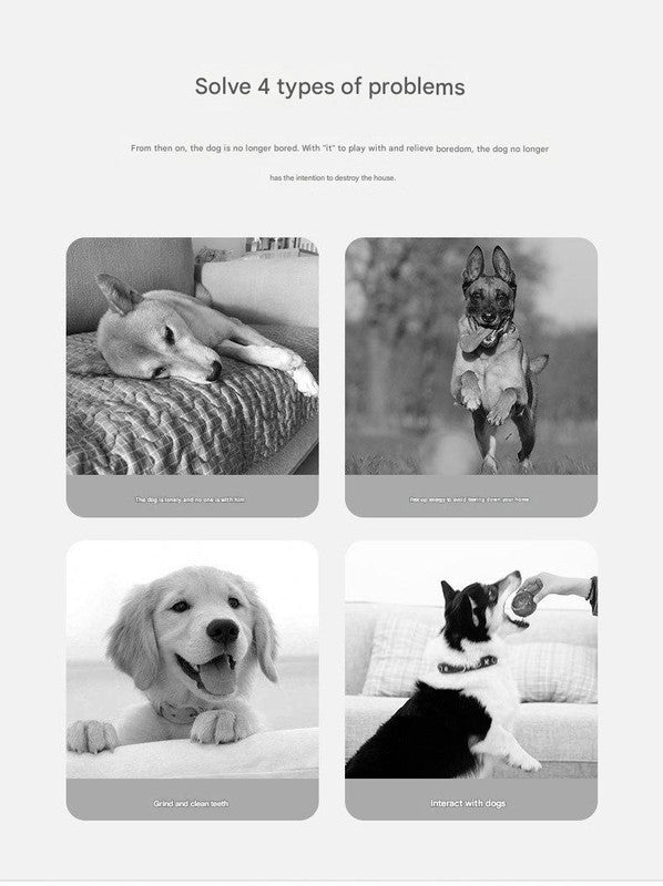 Durable Dog Training Interactive Ball with Sensory Tags(Blue Star Bear)