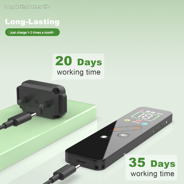 Black Rechargeable Remote Dog Training Collar - Waterproof E-Collar with Beep, Vibration & Shock Modes